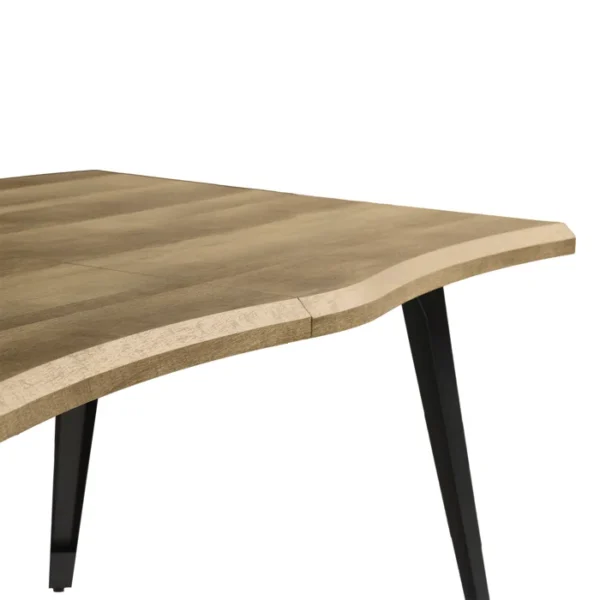 Table de salle à manger Shivani – Image 3